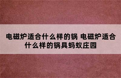 电磁炉适合什么样的锅 电磁炉适合什么样的锅具蚂蚁庄园